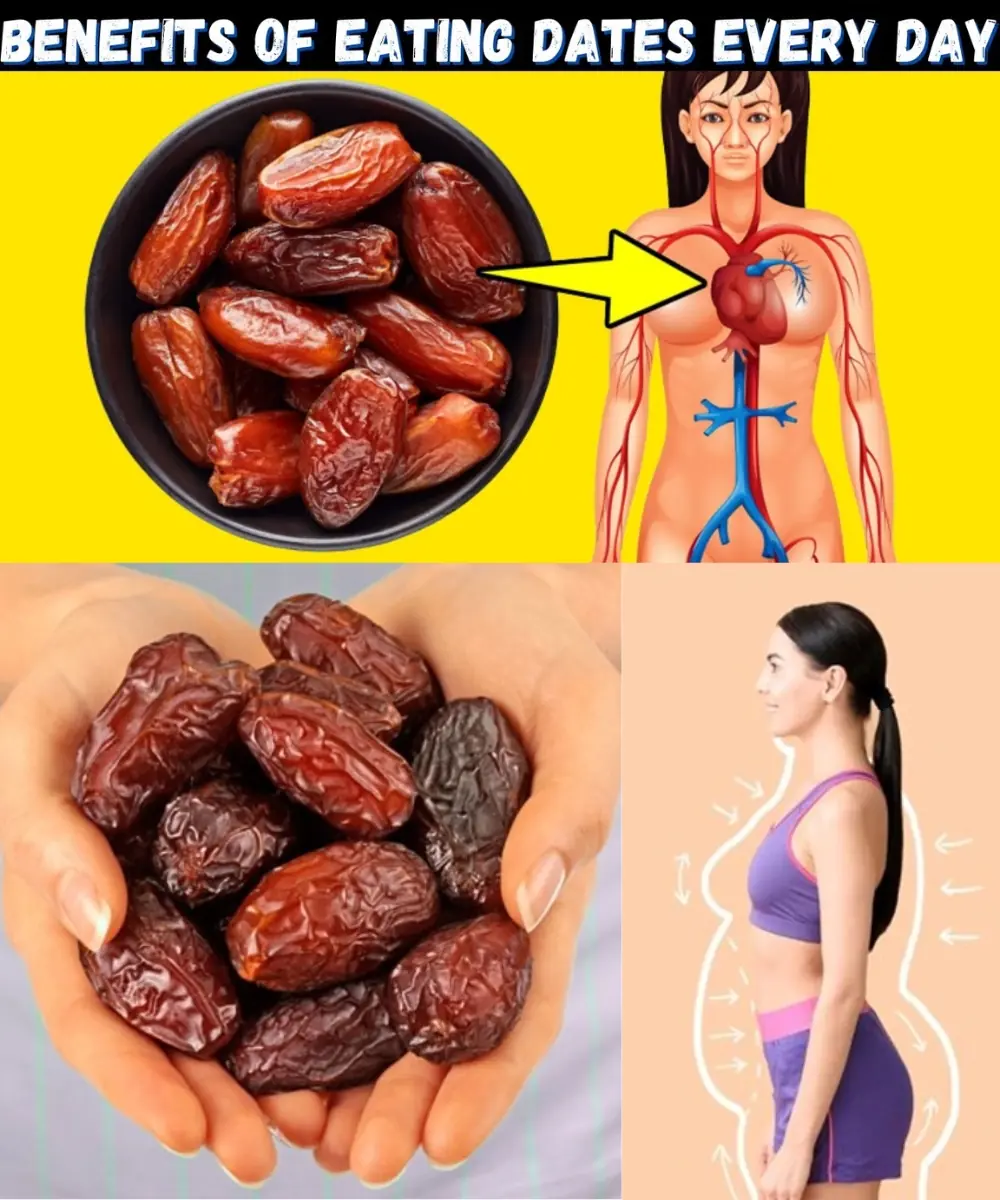 The Incredible Health Benefits of Dates: Nature’s Sweet Superfood