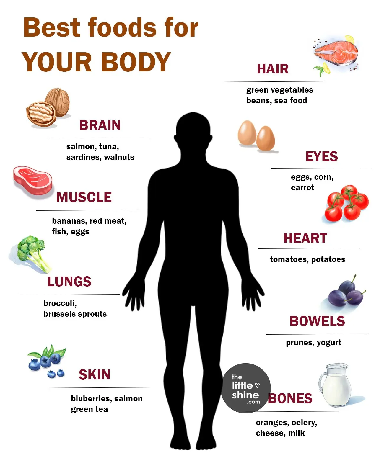 Best Foods for the Best Body 💪🥗