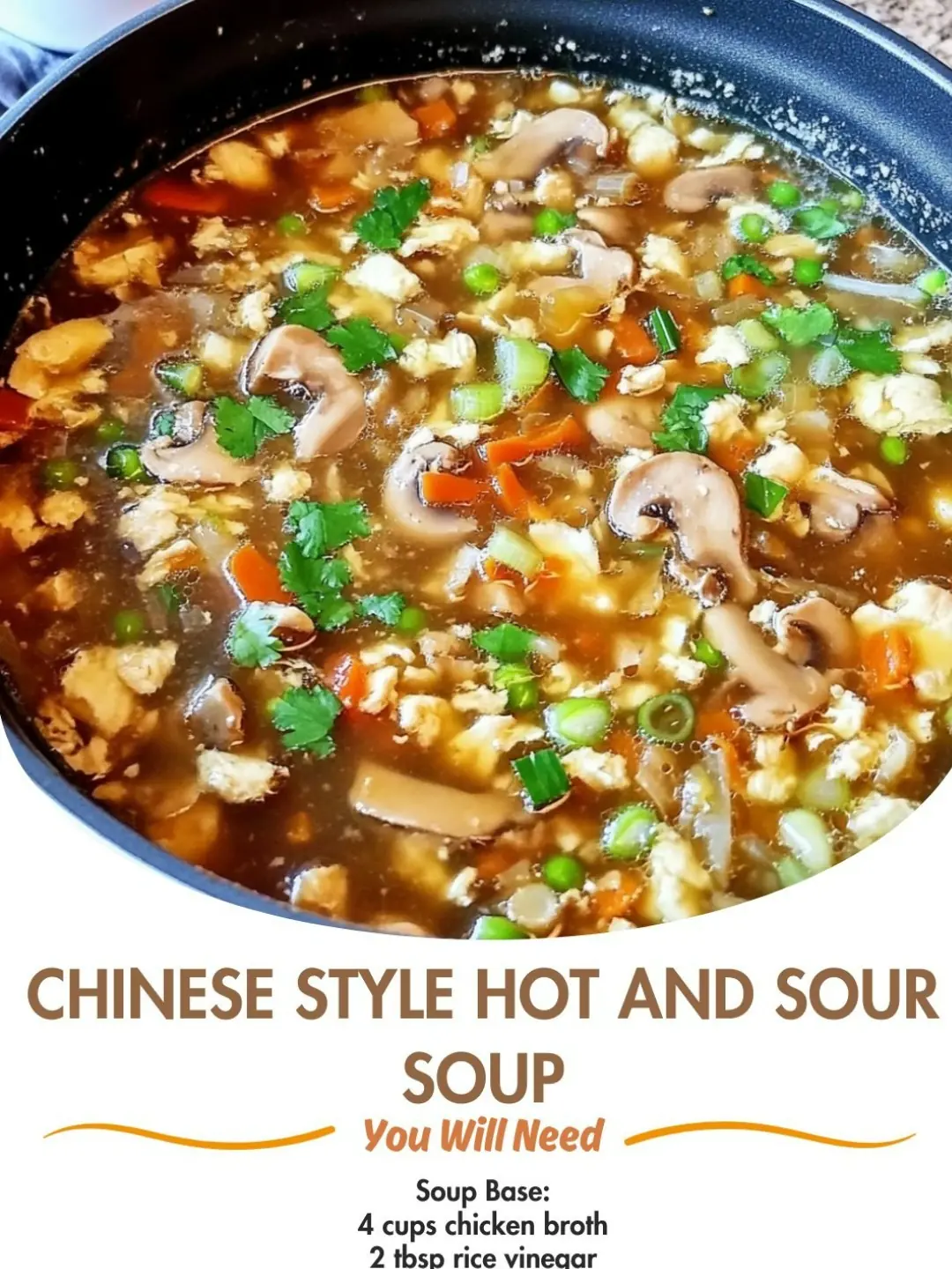 Chinese Style Hot and Sour Soup 🍲✨