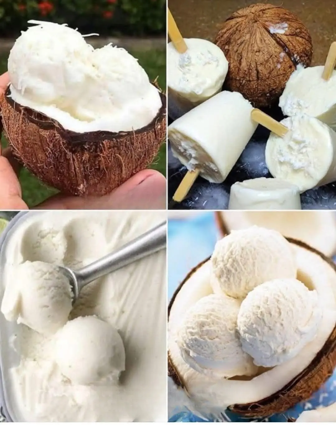Creamy Coconut Ice Cream ❄️🥥