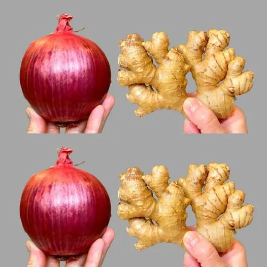 The Health Benefits of Ginger