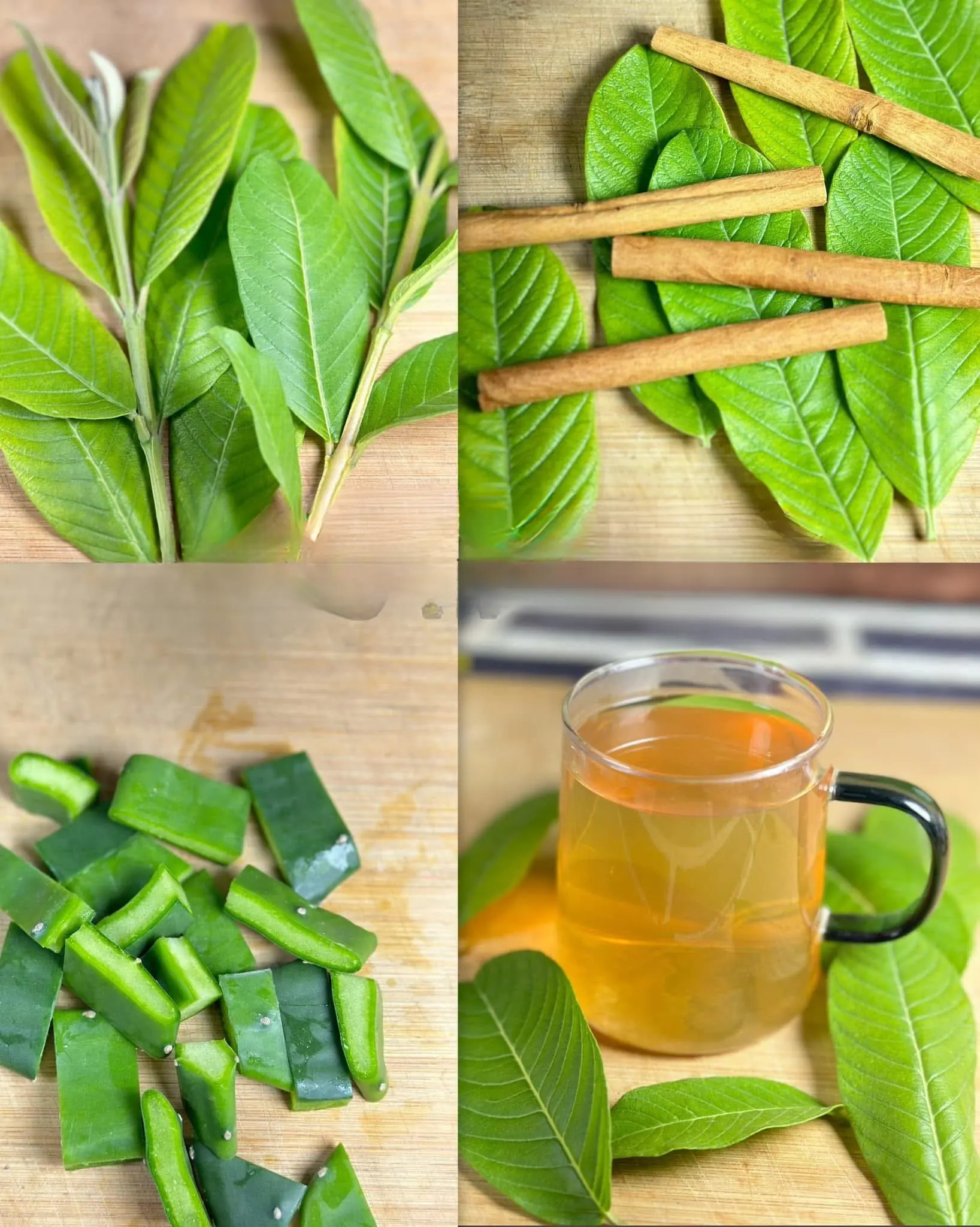 Dr. Frank Suárez said that with these leaves, you can eliminate poor circulation, diabetes, fatty liver, and knee pain — all without having to take pills