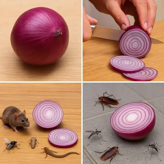 How To Use Onions To Get Rid Of Pests