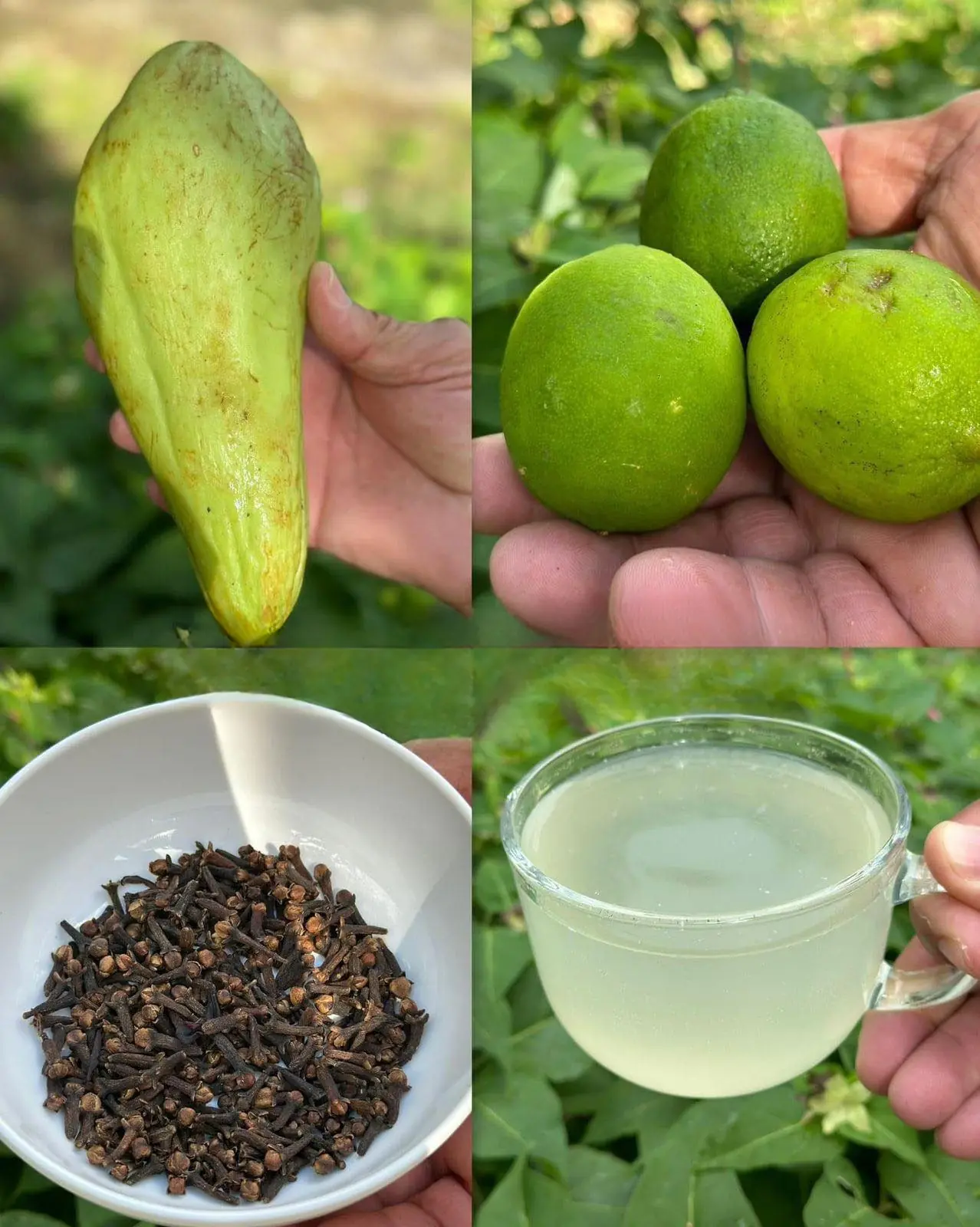 MY GRANDMA COULDN'T WALK BECAUSE HER FEET WERE VERY SWOLLEN FROM POOR CIRCULATION, BUT I MADE HER THIS HOMEMADE RECIPE AND NOW SHE CAN WALK AND JUMP BECAUSE SHE WAS ABLE TO ELIMINATE POOR CIRCULATION, DIABETES, AND ACCUMULATED FAT IN THE LIVER.