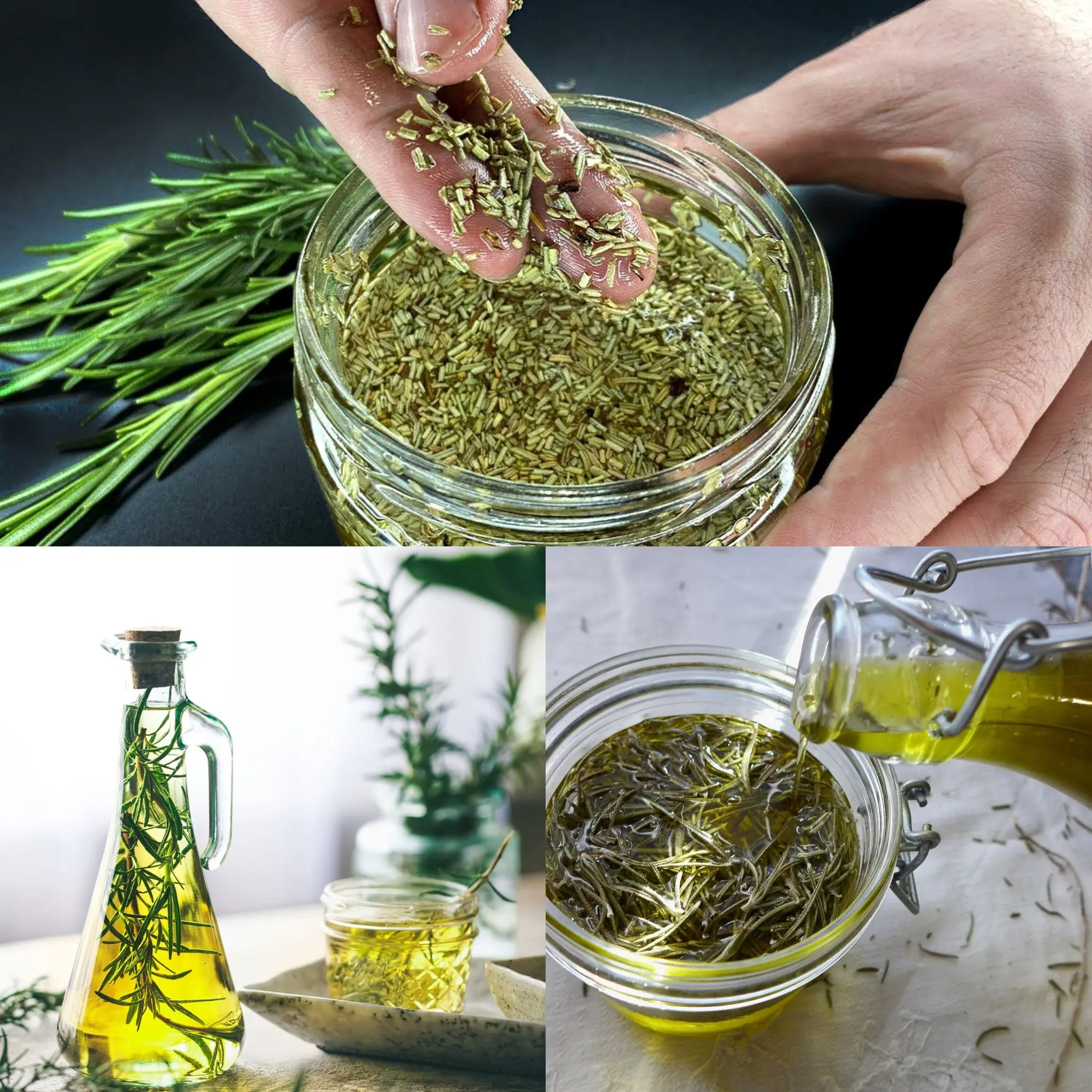 Forget Gray Hair and Bald Heads! Just 2 Powerful Ingredients to Boost Hair Growth – Rosemary & Olive Oil