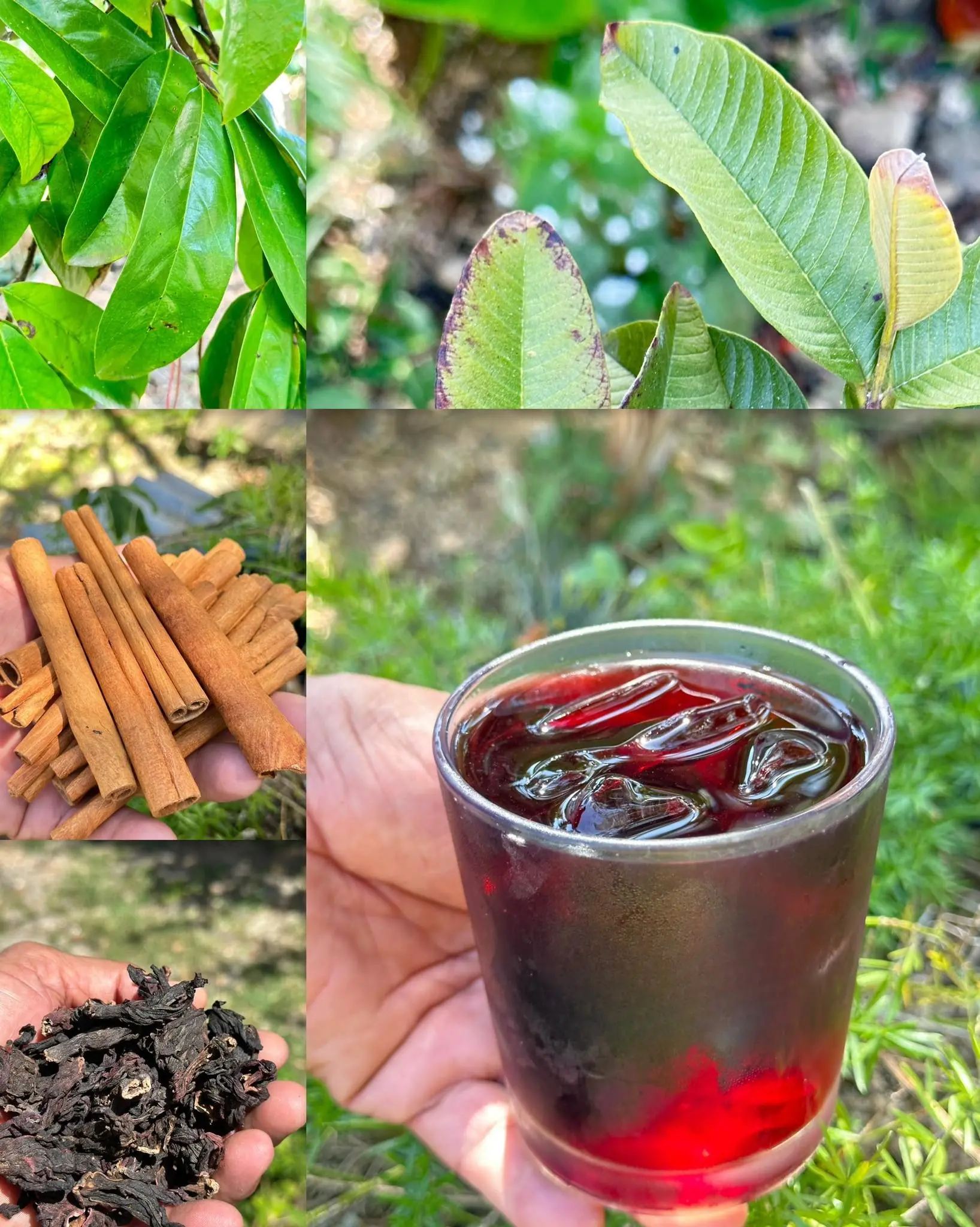 Dr. Fran SuΓ‘rez said that just by drinking this beverage in the mornings, you will naturally eliminate cancer, poor circulation, high blood pressure, fatty liver, and diabetes. πβοΈπ