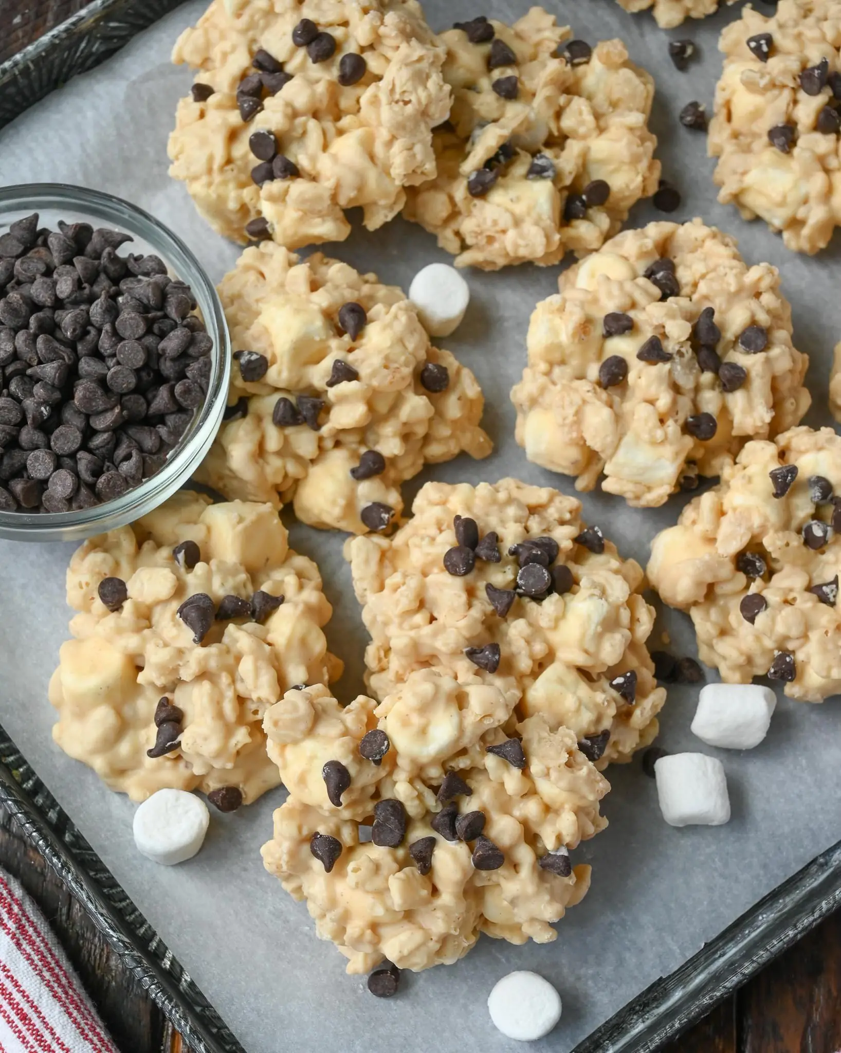 Avalanche Cookies (No-Bake Treat)