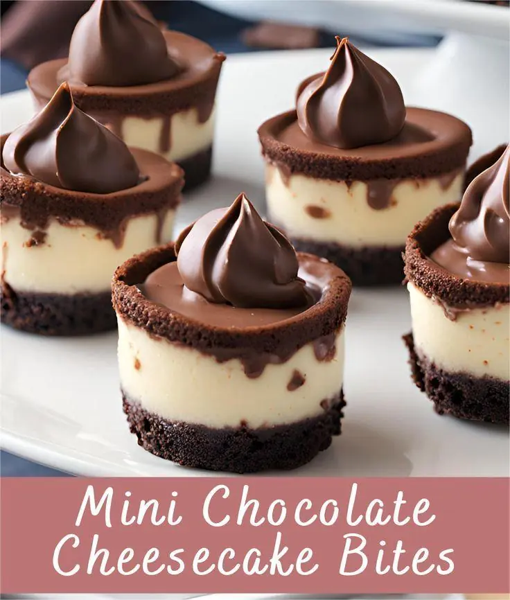 MINI CHOCOLATE CHEESECAKE BITES