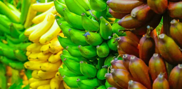 Green vs Yellow Bananas: How Ripeness Changes the Fiber Inside