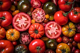 When Healthy Turns Risky: The Truth About Eating Too Many Tomatoes