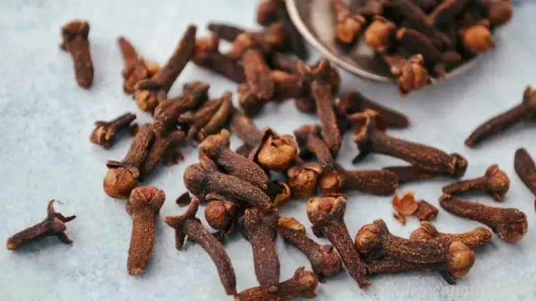 Clove Sitz Baths for Women: A Natural Way to Support Comfort and Cleanliness