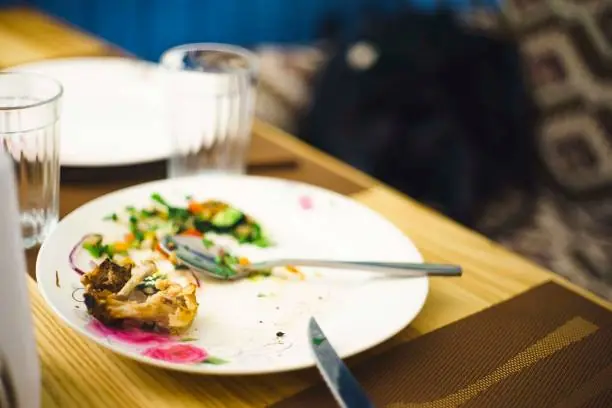 Why Intentionally Ending a Meal Matters More Than You Think