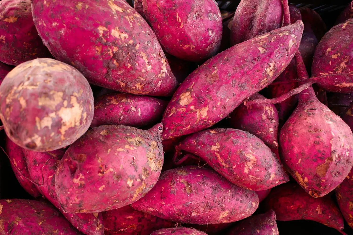 Starting Your Day with Sweet Potatoes: A Simple Routine for Better Health