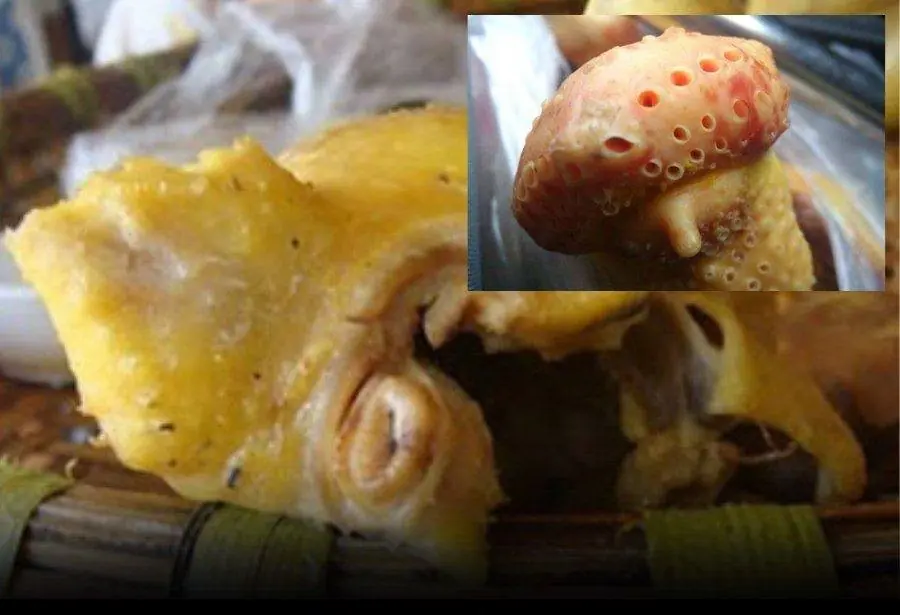 These 4 parts of chicken contain a lot of 'parasites', but many people still enjoy eating them