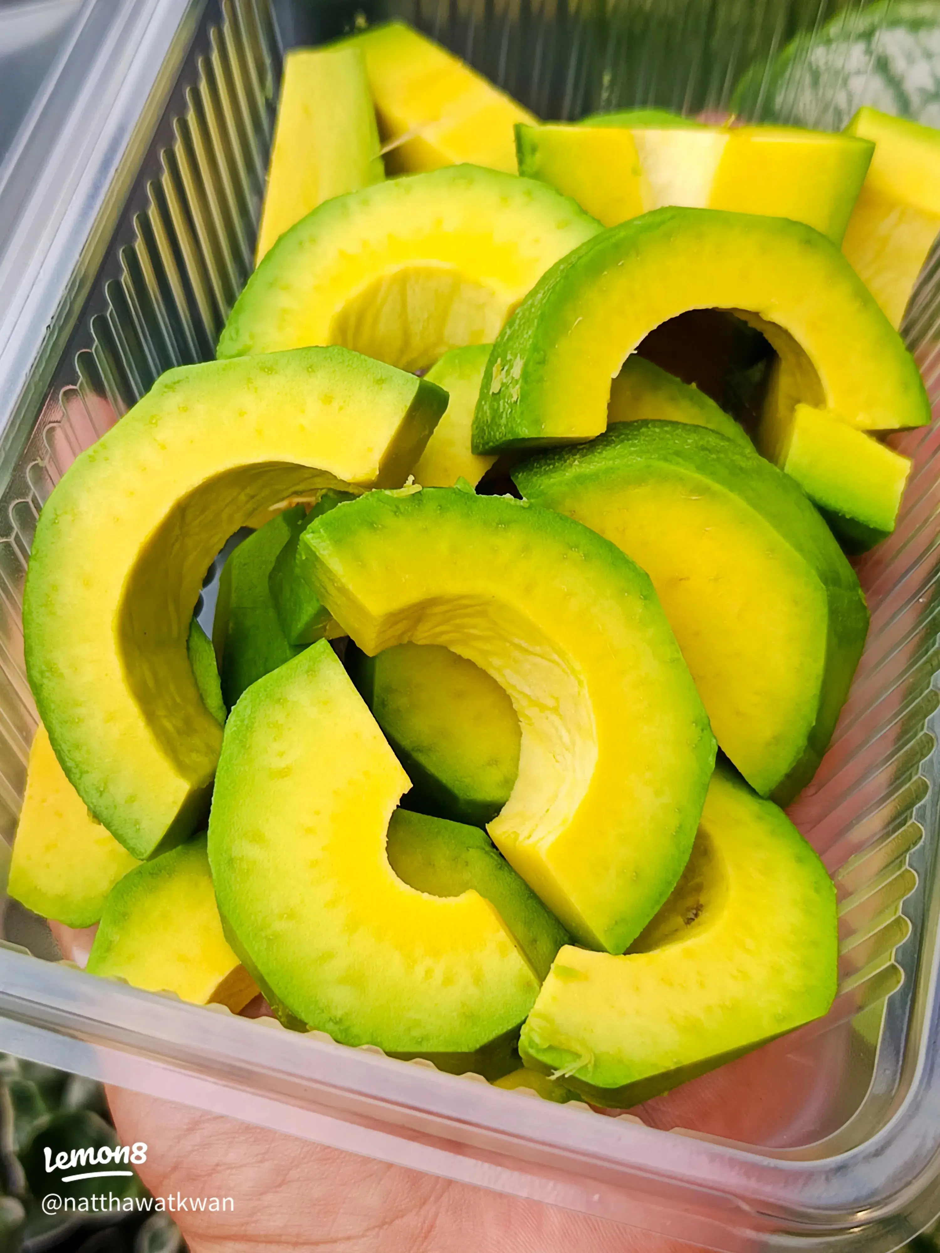 Scientifically Proven Health Benefits of Avocado and Avocado Seeds