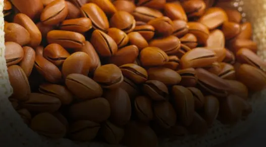 What Happens to Your Body If You Eat Pine Nuts Every Day?