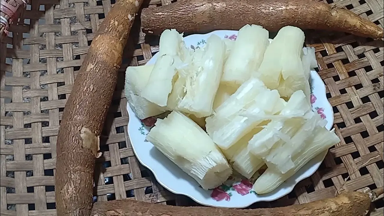 Is Cassava Safe? Medical Experts Reveal Potential Health Concerns