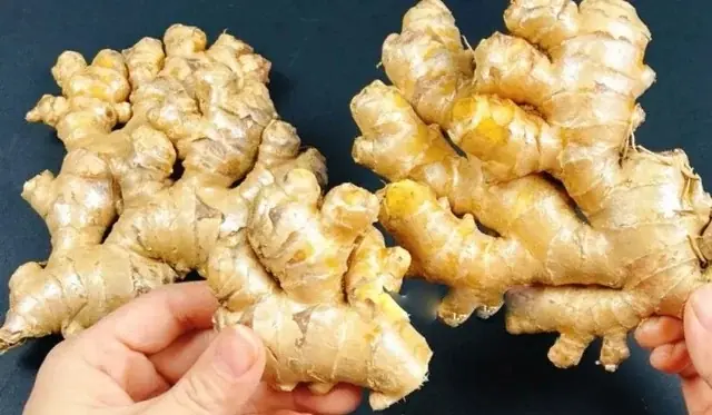 Daily Steamed Ginger: A Traditional Remedy for Immunity and Cold Prevention