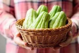 Meet Chayote: The Underrated Superfood for Better Health