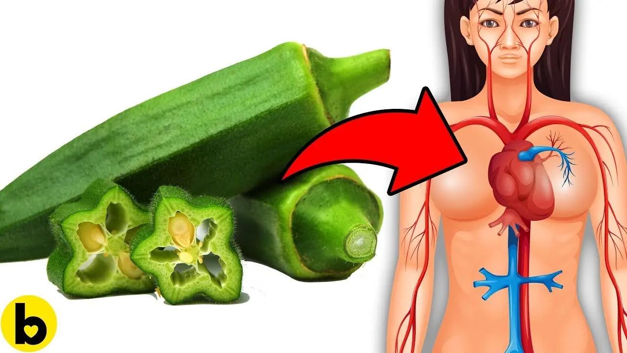 9 Amazing Benefits Of Okra Water To Females Sexually