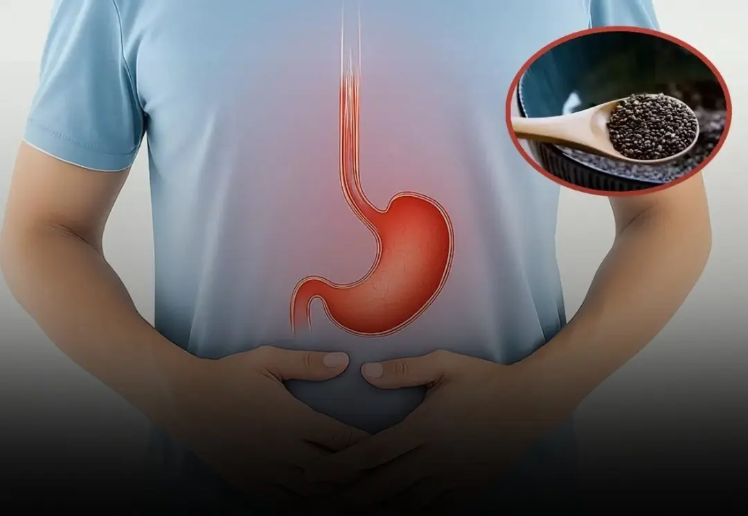 A Gastroenterologist’s Secret We@pons: 3 Seeds and 3 Drinks to Flatten Your B3lly Naturally