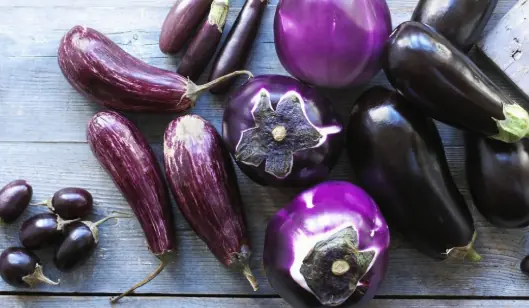 Not Everyone Should Eat Eggplant — Here’s Why