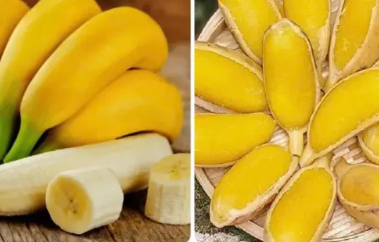 What happens to your blo.od pressure when you eat bananas every day?