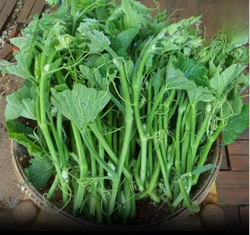 Know early to avoid them and tell your loved ones!