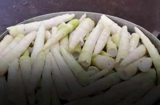 These 5 fruits are in the 'black book' of causing ca.n.cer cells: