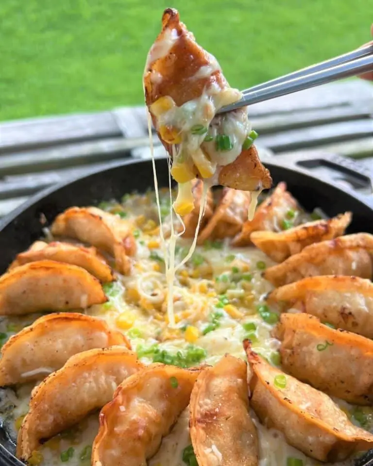 Sizzling Cheese Gyoza – Crispy Pan-Fried Dumplings with Melted Cheese