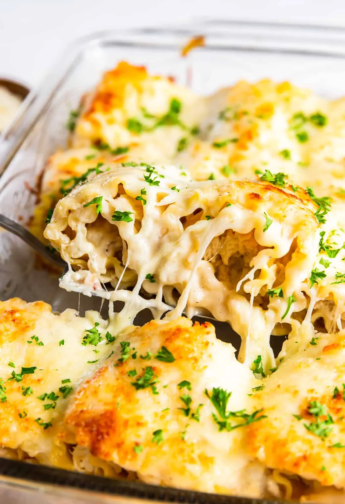 Cheesy Chicken Alfredo Lasagna – Creamy Alfredo Pasta Bake with Chicken