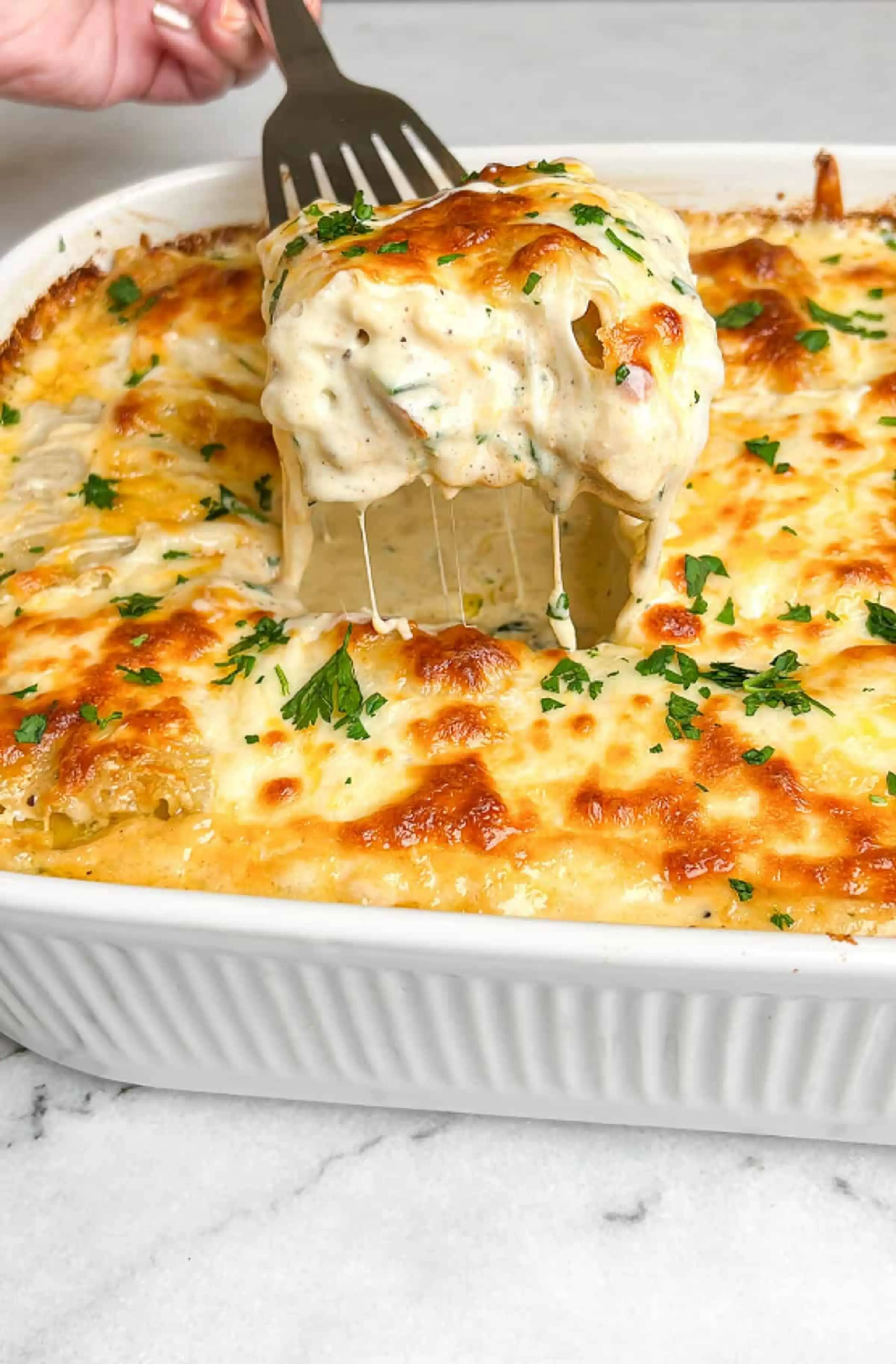 Chicken Alfredo Lasagna Rolls – Creamy Baked Pasta with Golden Cheese Top