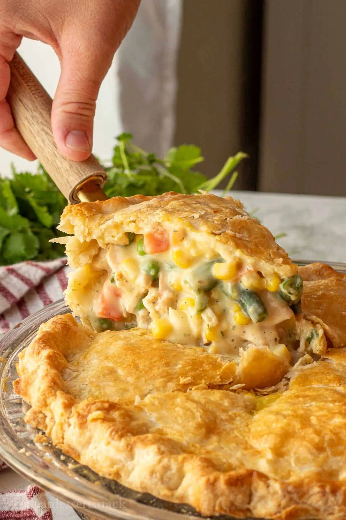 Chicken Pot Pie – Flaky Crust with Creamy Chicken and Vegetable Filling