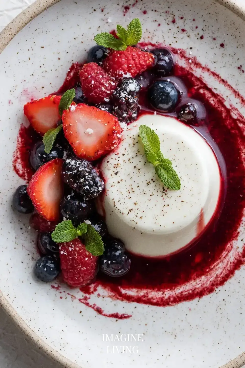 ๐ฎ Vanilla Panna Cotta with Berry Sauce