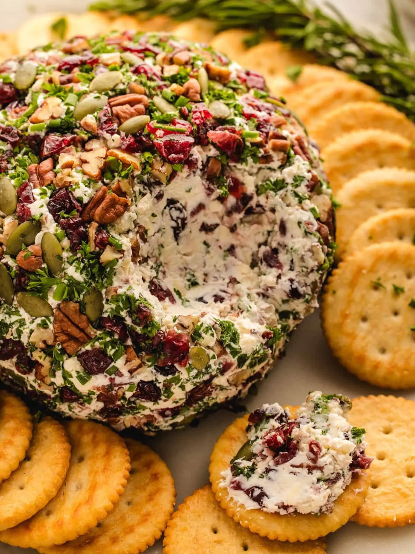 Cranberry-Pecan Cheese Ball – Shattered-Crimson Crust with a High-Gloss Amber Mirror