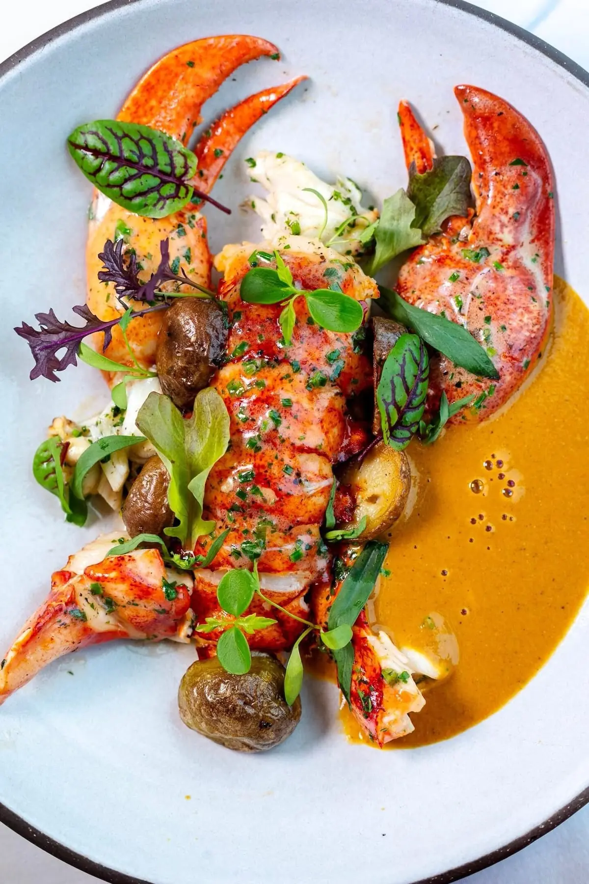 🦞✨ Butter-Poached Lobster with Creamy Risotto & Vegetables