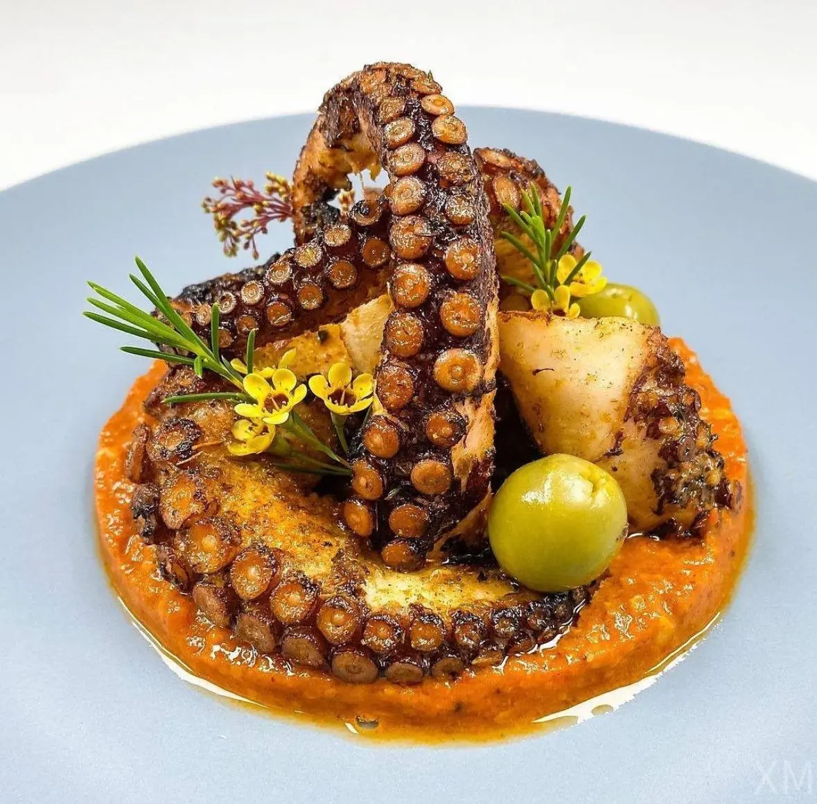 Grilled Octopus with Red Pepper Purée