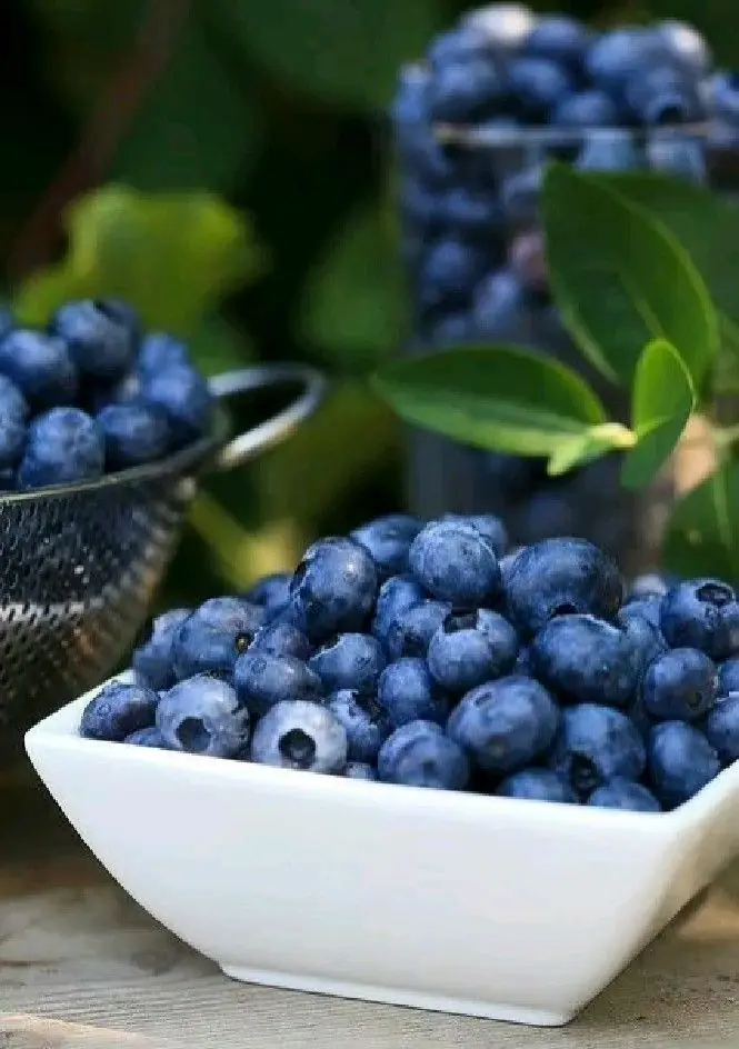 Blueberries : Benefits, Nutrition & What Happens When You Eat Them Daily