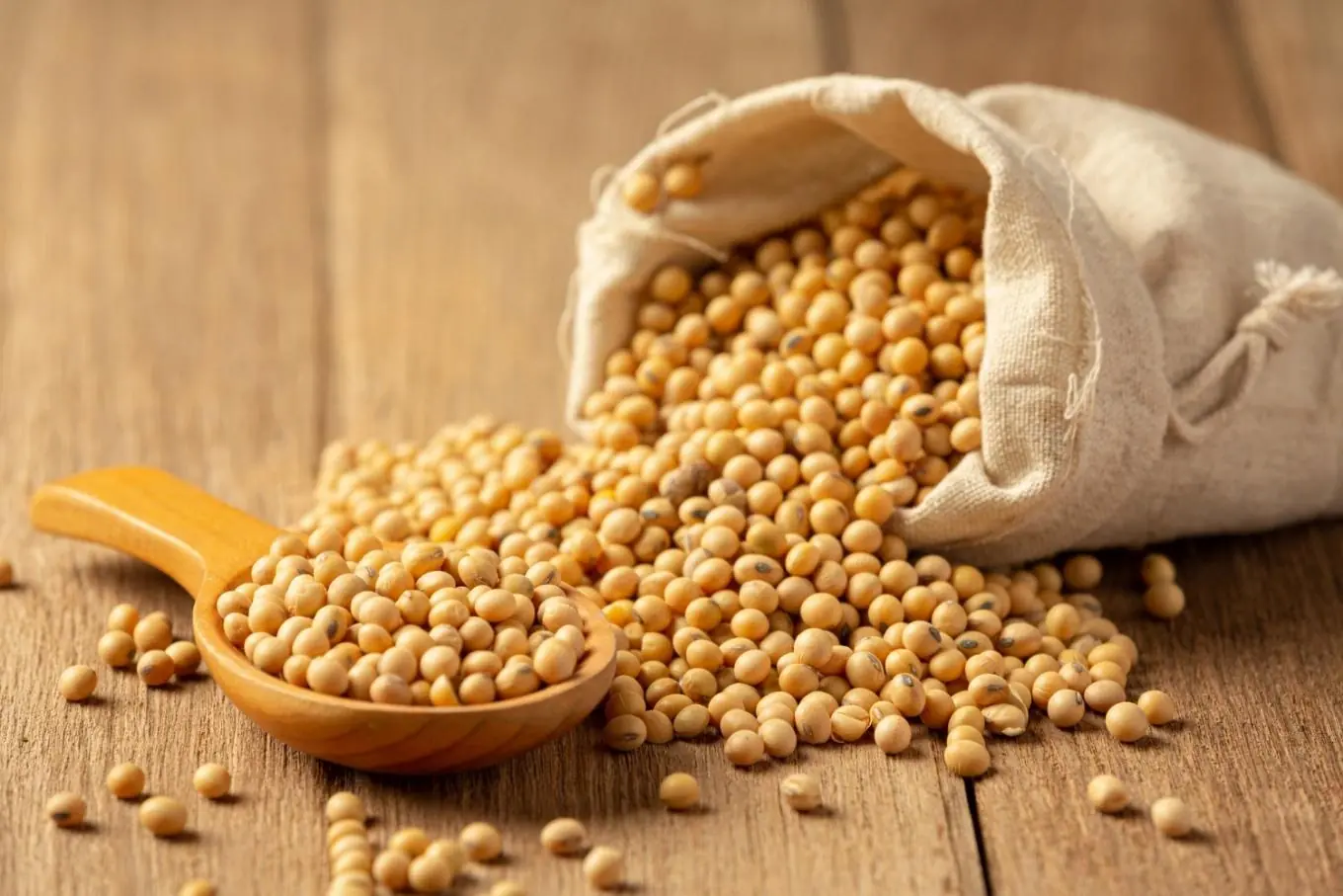 Soybeans: Powerful Plant Protein, Hormone Myths & The Truth About Soy