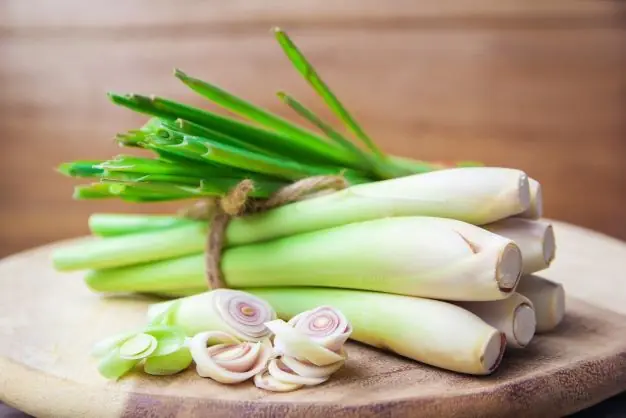 Lemongrass: The Aromatic Herb That Supports Digestion, Relaxation & Natural Wellness