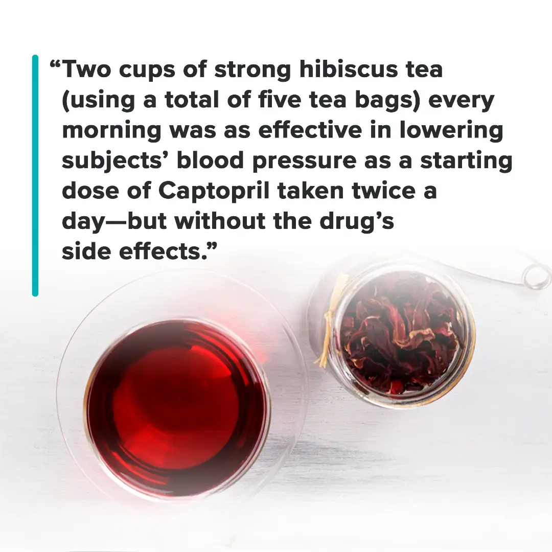 Can Hibiscus Tea Help Lower Blood Pressure? What Science Really Says