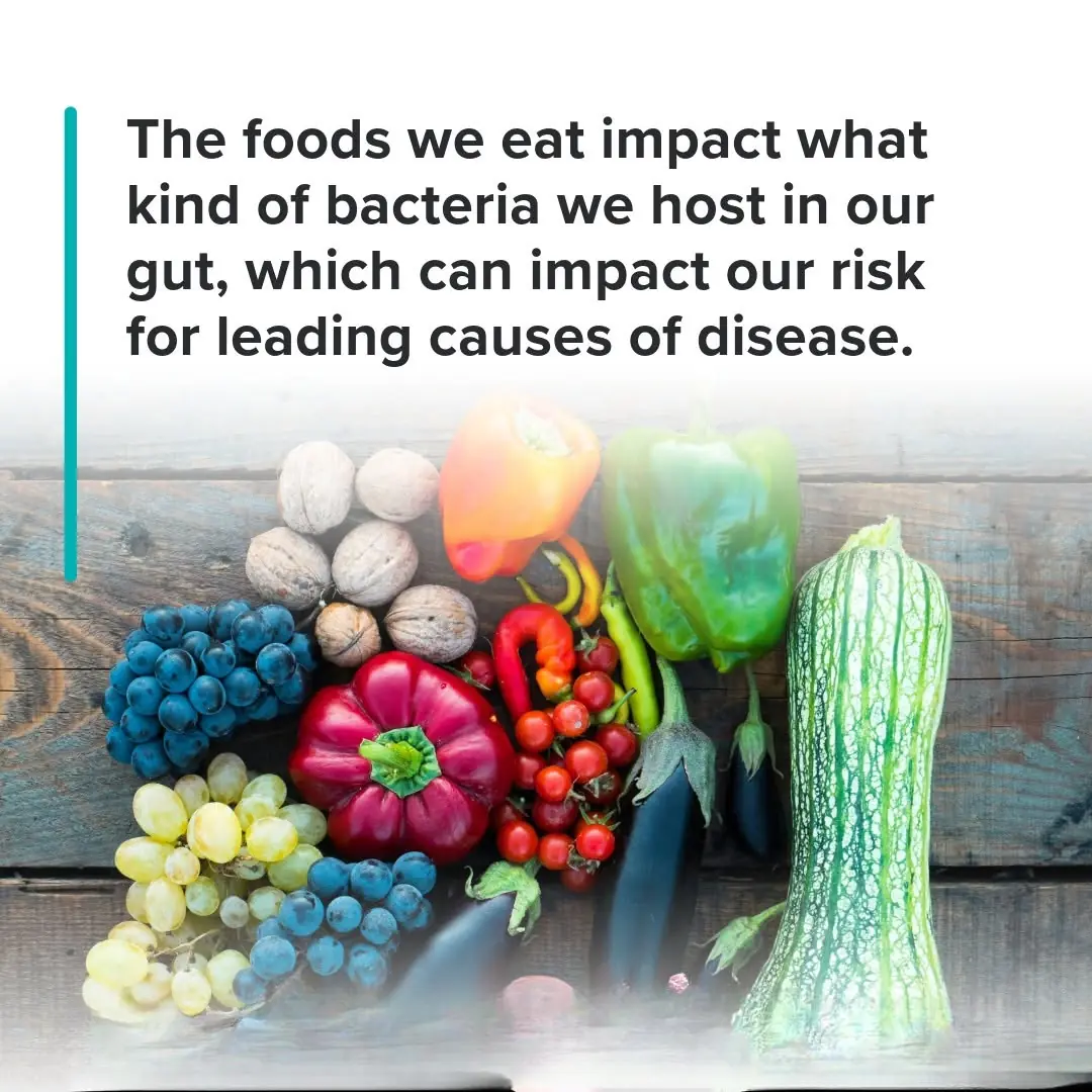 Your Gut Microbiome: How the Foods You Eat Shape Your Health