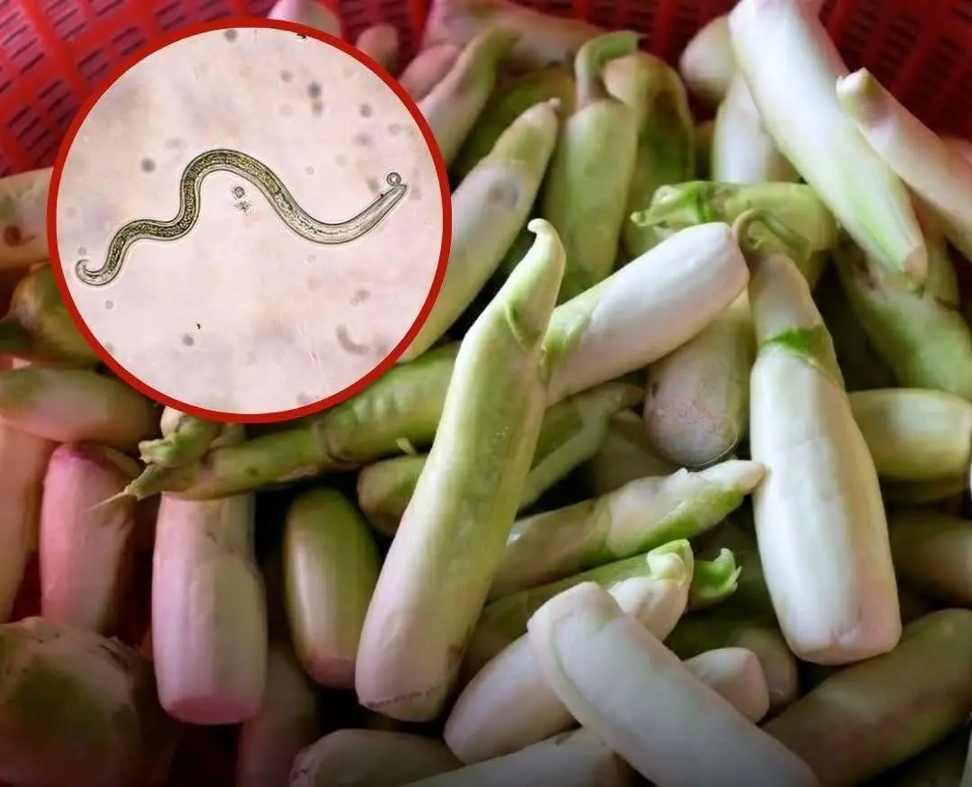 The Vegetable Most Likely To Carry Parasites Is Also One Many People Love Eating Raw