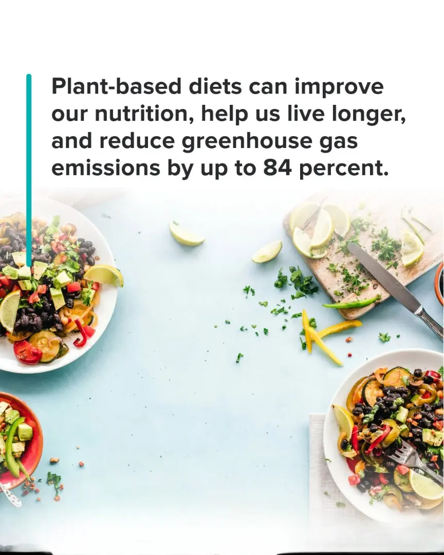 Plant-based diets could save the lives of more than ten million people a year. One of the most comprehensive and systematic analyses ever done, the Global Burden of Disease Study, found that the number one cause of death on Earth is unhealthy diets