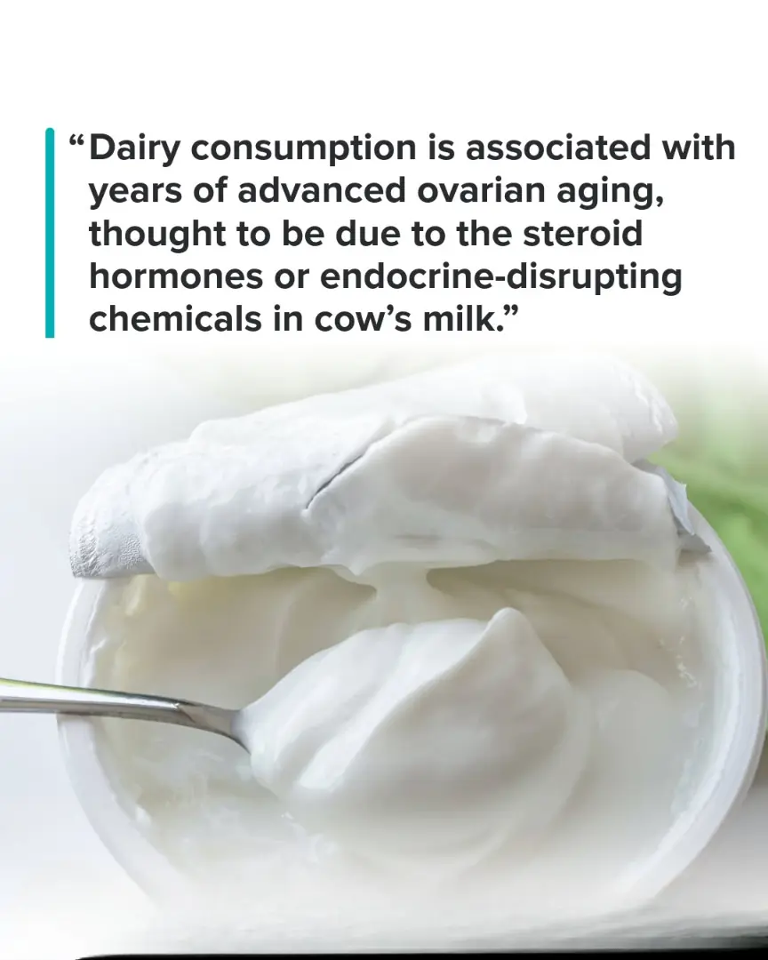 Dairy and Women's Fertility: Does Milk Accelerate Ovarian Aging? What the Science Really Says